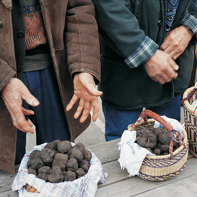 A display of truffles arranged in small baskets